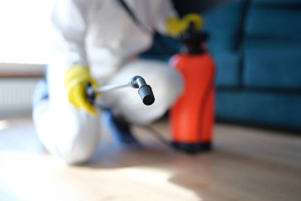 Best Biohazard Mold Removal  in USA